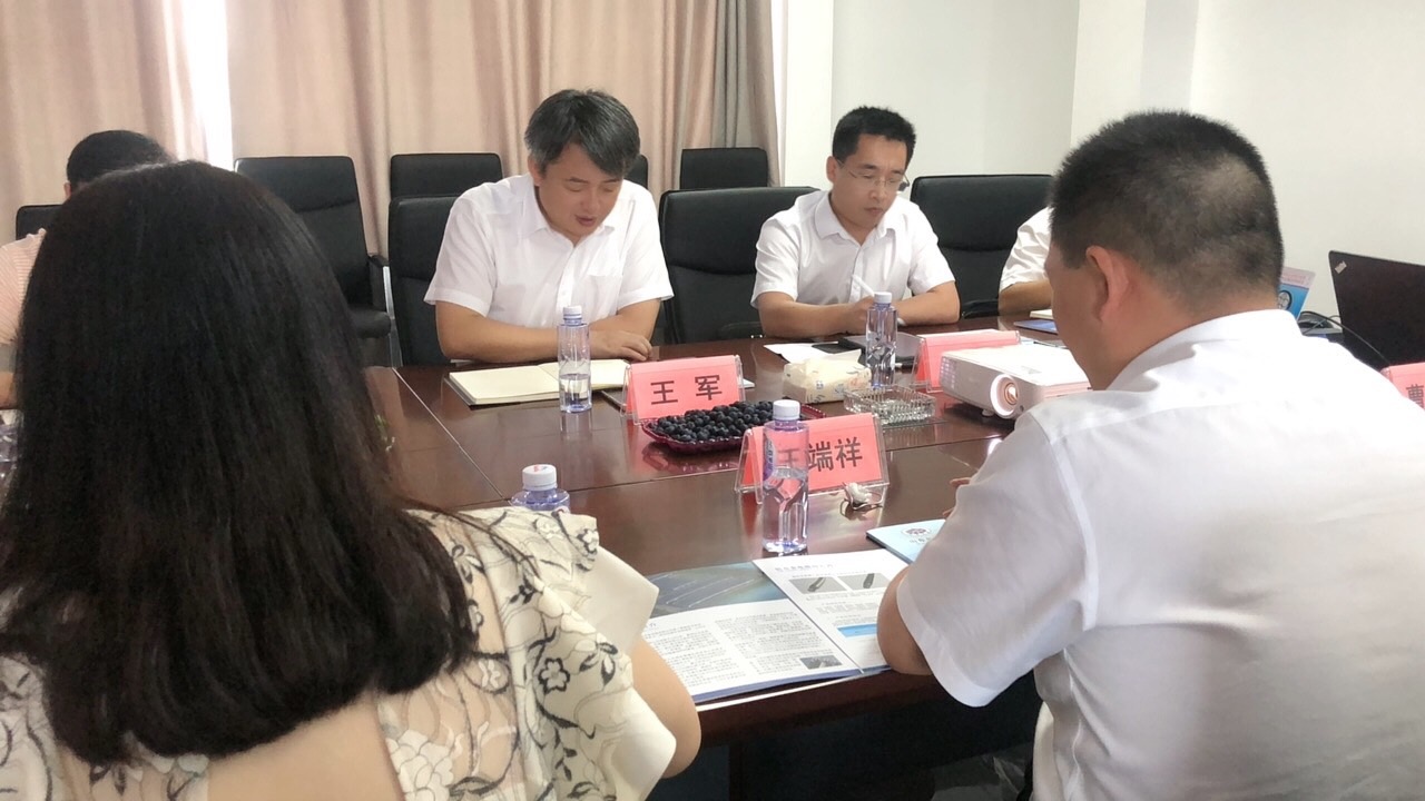 河池市政府王軍市長一行來公司考察調(diào)研