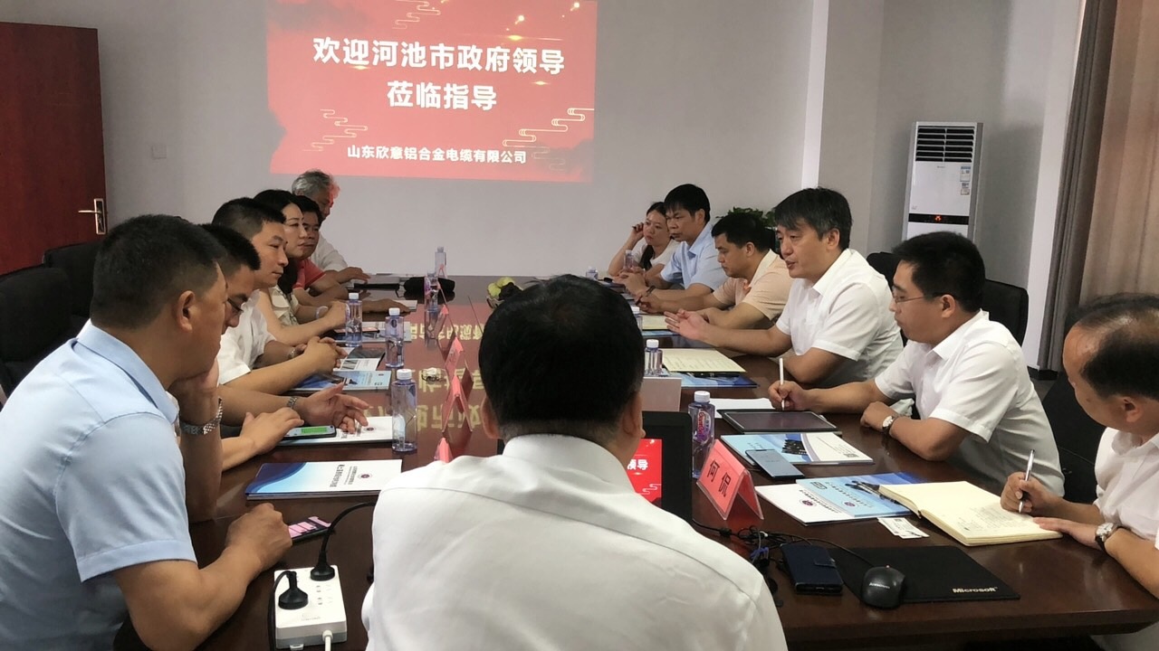 河池市政府王軍市長一行來公司考察調(diào)研