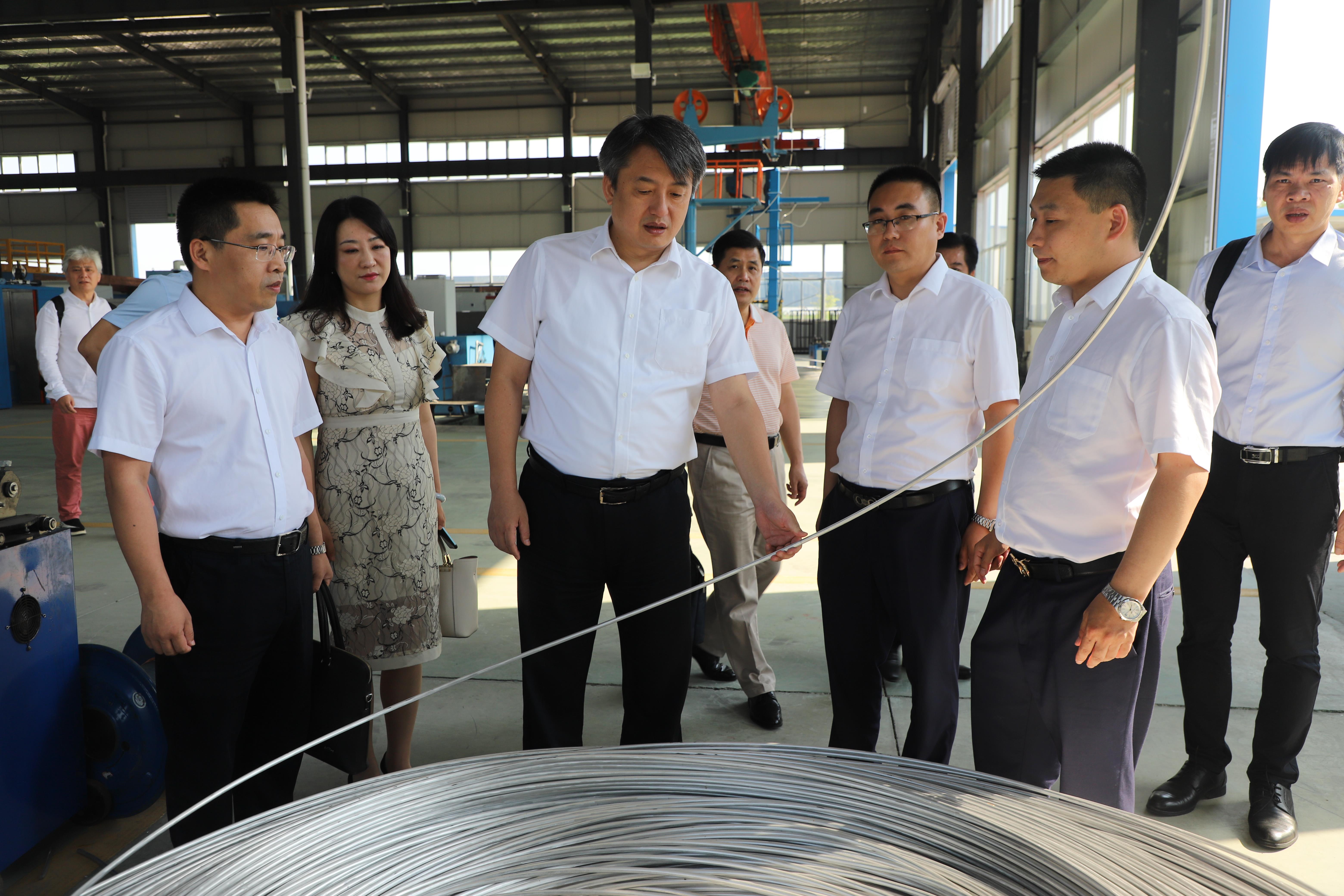 河池市政府王軍市長一行來公司考察調(diào)研